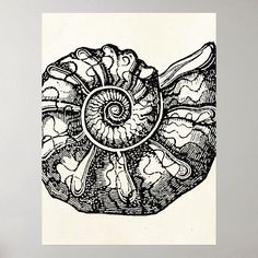 a black and white drawing of a snail's shell with its spirals on it