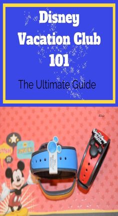 disney vacation club 101 the ultimate guide