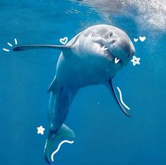 a dolphin swimming under water with hearts drawn on it's side