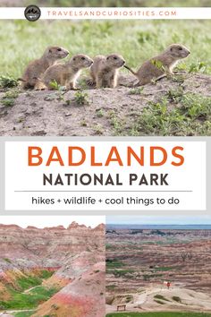 the badlands national park with three meerkats on top and text overlay