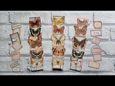 there are many different types of butterflies on the wall and in front of it is a brick wall