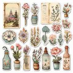 an assortment of flowers and plants in vases on a white background with old paper