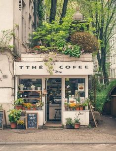 the coffee shop is located on the side of the street with potted plants outside