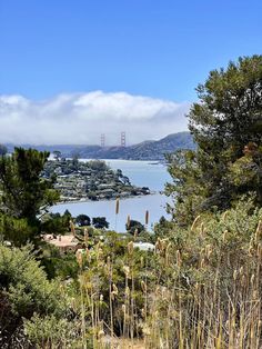 a scenic view of the golden gate bridge in san francisco, california