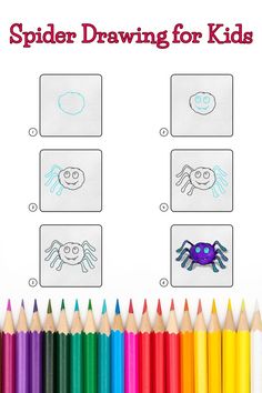 Step by step images demonstrating how to draw a Spider Drawing for Kids A Spider Drawing, Snowy Owl Drawing, Draw A Cardinal, Cardinal Drawing, Spider Drawing