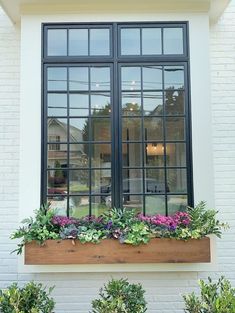 two windows with plants in them on the side of a white brick building and one window has black panes