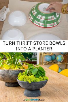 two bowls with plants in them and the words turn thrift store bowls into a planter