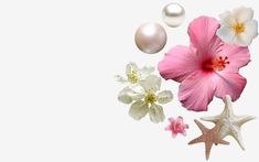 pink and white flowers with starfish, pearls and seashells on a white background