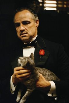 a man in a tuxedo holding a cat