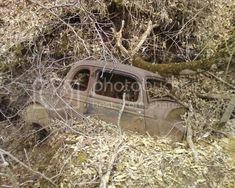 an old rusted out car sitting in the woods