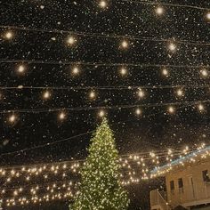 a large christmas tree is lit up in the snow with lights strung from it's sides