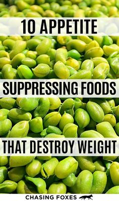 It's SO helpful learning about these appetite suppressant foods! I can use these to help me improve my healthy living, diet & weight loss targets! #ChasingFoxes #HealthyLiving Bike Workout, Fitness Guide, Fat Loss Tips, Nutritious Snacks, Exercise Bike, My Fitness, Diet Tips