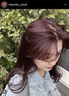 Wine Hair Color, Wine Hair, Red Brown Hair, Hair Color Auburn, Hair Images, Hair Dye Colors, Hair Inspo Color, Lavender Color, Short Bob Hairstyles