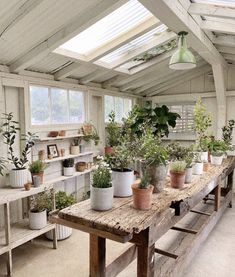 many potted plants are sitting on a table in a room with white walls and windows