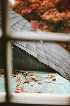 the view from behind a window shows leaves on the roof and gutter in front of it