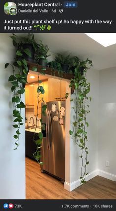 a refrigerator with plants growing on it in a kitchen