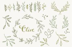 the word clin surrounded by various branches and leaves on a white background with green lettering