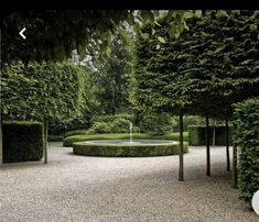 a circular garden area with trees and water fountain in the center, surrounded by gravel