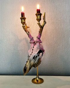 a deer skull with two candles in it's antlers