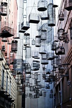 many bird cages hanging from the side of buildings