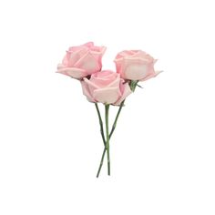 three pink roses sitting on top of each other