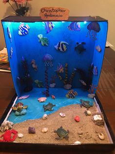 an aquarium made out of sand and sea life