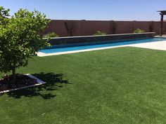 an artificial lawn next to a swimming pool in the middle of a yard with a tree