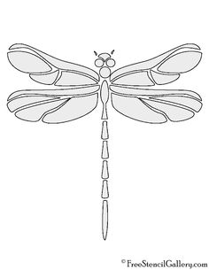 a drawing of a dragonfly on a white background