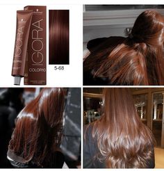 Ash Brown And Copper Hair, Brown Hair Colors Olive Skin, Honey Chocolate Brown Hair, Honey Chocolate Hair, Red Chocolate Hair Color, Pelo Color Chocolate, Rubio Chocolate, Chocolate Blonde Hair, Chocolate Pelo