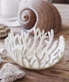 white corals and seashells on a wooden table next to a coffee cup