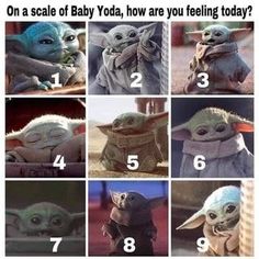 the baby yoda is shown in eight different pictures and has four times to describe it