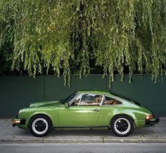 a green porsche parked in front of a tree with lots of leaves hanging from it