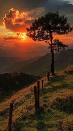 the sun is setting behind a tree on top of a hill with mountains in the background