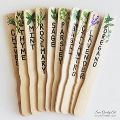 six wooden spoons with herbs on them