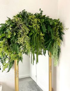 there is a mirror that has plants on it in front of the wall and floor