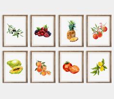 six watercolor paintings of fruits and vegetables are displayed in wooden frames on the wall