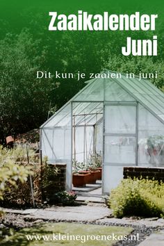 Juni, een maand om te genieten van de achtertuin en tuinkas. In onze moestuin zaaikalender juni staat wat je nu nog kan zaaien. Volg ons voor meer inspiratie en tips voor je tuinkas in je achtertuin! Vegetable Garden