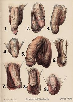 an old book with different types of doughnuts