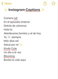 an instagram caption with the words instagram captions in spanish and english