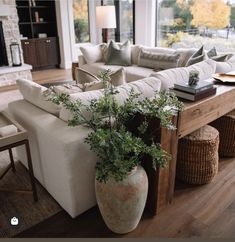 a living room filled with furniture and a large plant in a vase on the coffee table