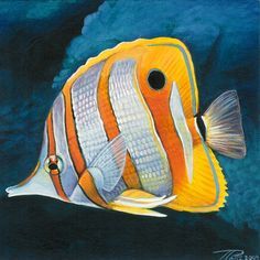 an acrylic painting of a fish on a dark blue background with white and orange stripes