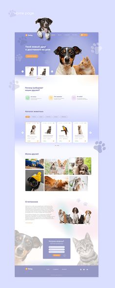 a dog and cat website design