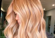 Searching for a way to illuminate your look instantly? Click here to satisfy your desire. Strawberry Blonde Inspiration, Light Red Highlights In Blonde Hair, Strawberry Blonde Pale Skin, Apricot Blonde Hair, Strawberry Blondie, Golden Blonde Hair Color, Light Strawberry Blonde, Copper Blonde Hair, Warm Blonde Hair