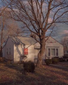 a white house sitting next to a tree in front of a red and white door