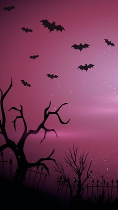 bats flying in the night sky over a graveyard