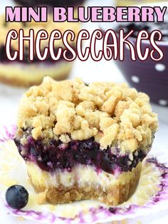 mini blueberry cheesecakes on a plate with the title overlaying it