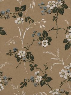 a brown and white flowered wallpaper with blue flowers on the bottom half of it