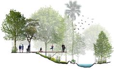 people are walking across a bridge in the woods with trees and birds flying above them