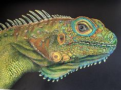 a drawing of a green iguana with yellow and blue details on it's face