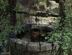 an old well in the woods with a bucket hanging from it's side and vines growing around